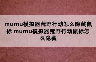 mumu模拟器荒野行动怎么隐藏鼠标 mumu模拟器荒野行动鼠标怎么隐藏